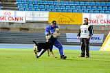 Airwolf Asko