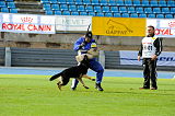Airwolf Asko