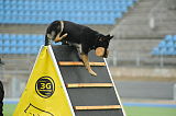 Airwolf Asko
