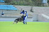 Jago vom Haus Sevens
