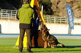 Fido von der Hagenmühle