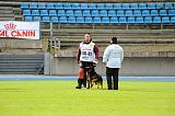 Harysson Ad-Gür