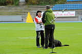 Champ vom Ruinenblick