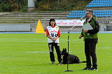 Champ vom Ruinenblick