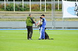 Champ vom Ruinenblick