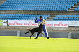 Champ vom Ruinenblick