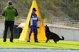 Champ vom Ruinenblick