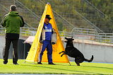 Champ vom Ruinenblick