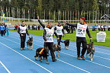 Siegerehrung, Victory ceremony