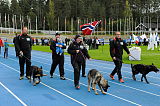 Siegerehrung, Victory ceremony