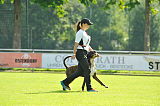 Aragon von Bailey