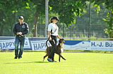 Aragon von Bailey
