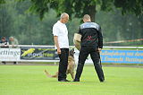 Jessy vom Adlerauge