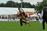 Nanuk vom Further Moor