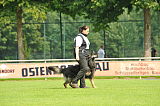 Jenky von der Schiffslache