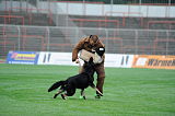 Pancho vom Marksbachtal
