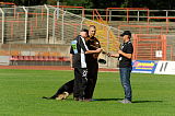 Gun vom Dreisbachtal