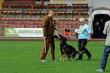 Göran vom Ortenberg