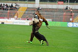 Eon vom Paradiesertor