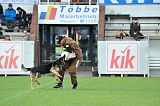 Brisko vom Schiefergrund