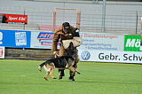 Brisko vom Schiefergrund