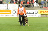 Jago vom Haus Sevens