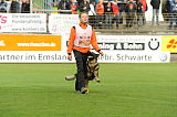 Jago vom Haus Sevens