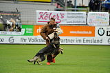 Jago vom Haus Sevens