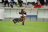 Jago vom Haus Sevens