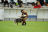 Jago vom Haus Sevens