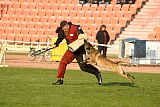 Lou von Nacheron