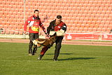 Jonny de la montagne unique