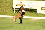 Bandit Boccaro