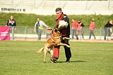 Bandit Boccaro