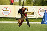 Bak Malinois of Sprajc
