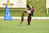 Bak Malinois of Sprajc