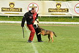 Bak Malinois of Sprajc