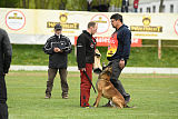 Kazak med Jablani