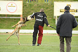 Kazak med Jablani
