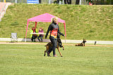 Atas of Hungarian Working Dogs