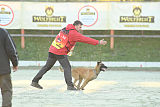 Quo Vadis Canis Bebeto