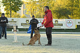 Quo Vadis Canis Bebeto