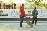 Quo Vadis Canis Bebeto