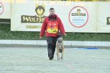 Quo Vadis Canis Bebeto