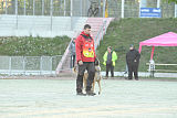 Quo Vadis Canis Bebeto
