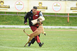 Quo Vadis Canis Bebeto