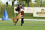 Quo Vadis Canis Bebeto