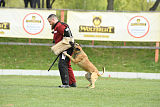 Quo Vadis Canis Bebeto