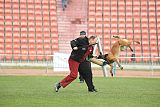 Axel Marshall Dogs