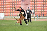 Axel Marshall Dogs